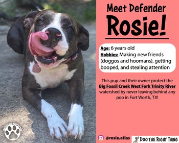 Rosie-(2).jpg