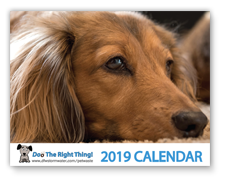 View the 2018 Doo the Right Thing Calendar